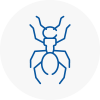 Ant Removals In East Ruston
