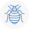 Bed Bug Extermination In East Ruston
