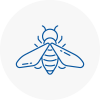 Bee Nest Removal East Ruston