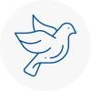 Bird Prevention East Ruston