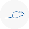 Mice Exterminators In East Ruston