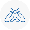 Moth Control Specialists In East Ruston