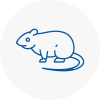 Rat Control East Ruston