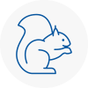 East Ruston Rodent Removals