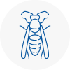 East Ruston Wasp Nest Removal